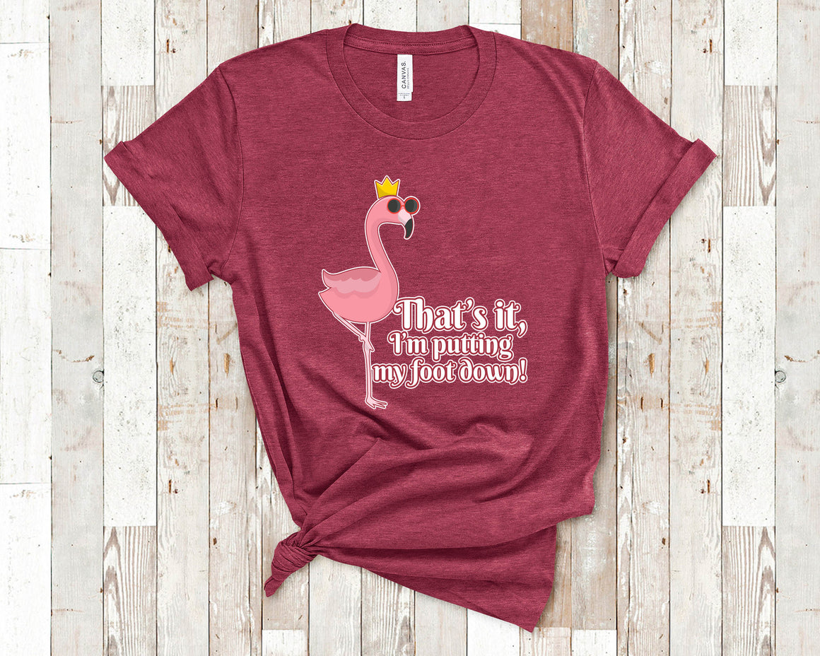 Funny Flamingo Shirt Tshirt, Long Sleeve Shirt and Sweatshirt Pink Flamingo Gift for Flamingo Lover Flamingo Apparel Womens Clothing Flamingo Presents